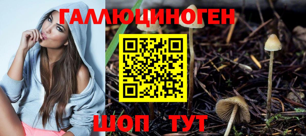 Псилоцибиновые грибы мухоморы Каспийск