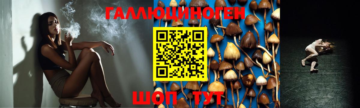 купить наркотик  Галлюциногенные грибы мухоморы  Каспийск  Вход с VPN  Галлюциногенные грибы MAGIC MUSHROOMS 
